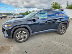 5NMJECAE8PH284182 2023 HYUNDAI TUCSON