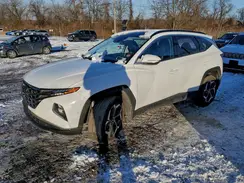 5NMJECAE9PH281226 2023 HYUNDAI TUCSON