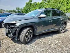 5NMJECAEXPH210245 2023 HYUNDAI TUCSON