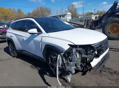 5NMJECAEXPH229944 2023 HYUNDAI TUCSON