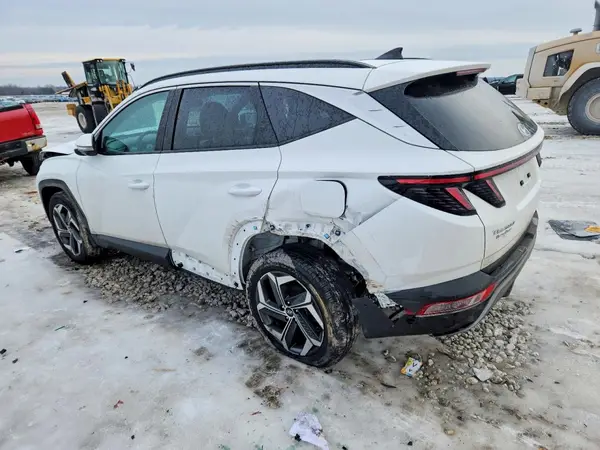5NMJECAEXPH233606 2023 HYUNDAI TUCSON - Image 2