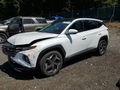 5NMJECAEXPH289593 2023 HYUNDAI TUCSON