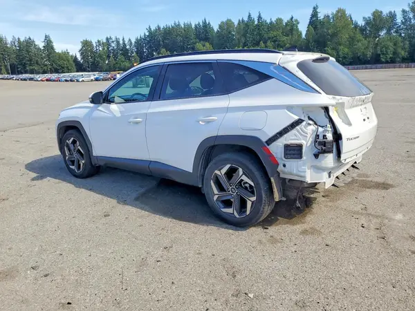 5NMJECDE0RH311437 2024 HYUNDAI TUCSON - Image 2