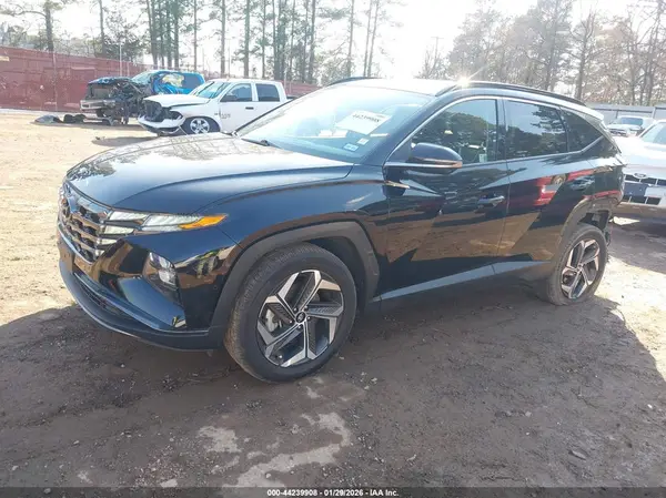 5NMJECDE1RH348237 2024 HYUNDAI TUCSON - Image 2
