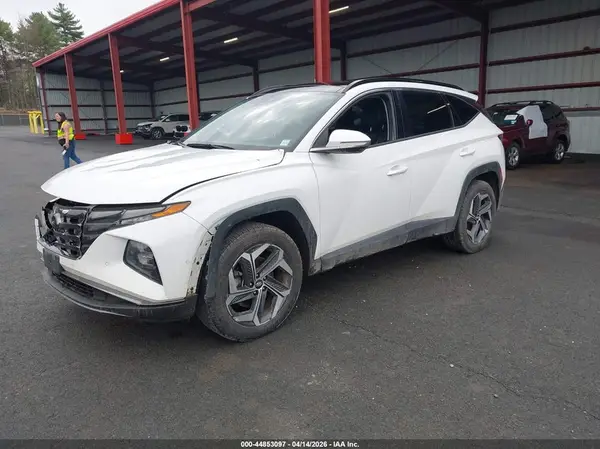5NMJECDE3RH349888 2024 HYUNDAI TUCSON - Image 2
