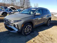 5NMJECDE3SH581249 2025 HYUNDAI TUCSON