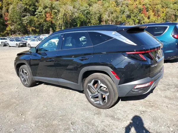 5NMJECDE4RH329259 2024 HYUNDAI TUCSON - Image 2