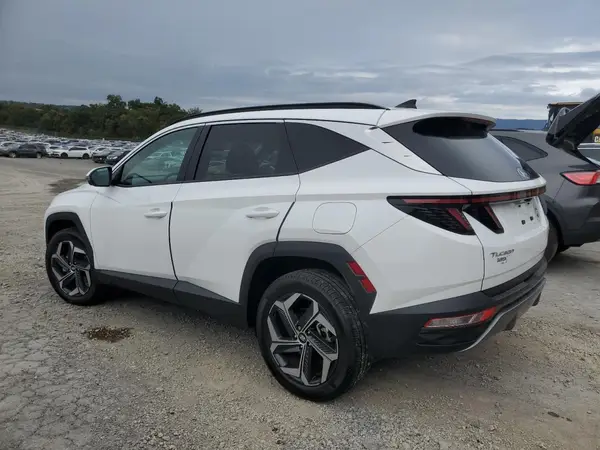 5NMJECDE4RH335403 2024 HYUNDAI TUCSON - Image 2