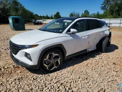 5NMJECDE4RH348412 2024 HYUNDAI TUCSON
