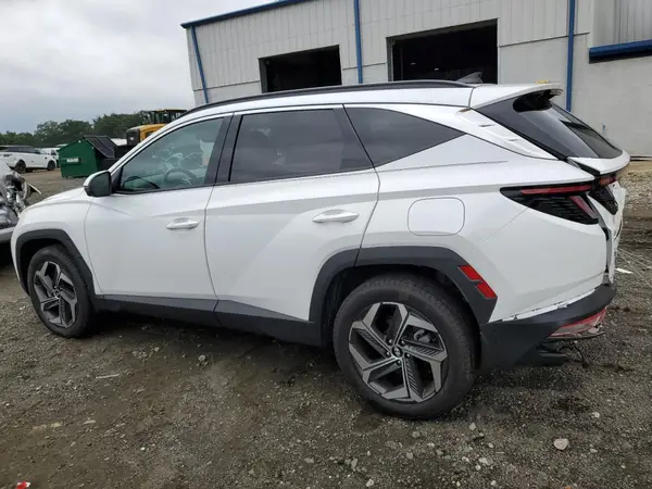 5NMJECDE4RH368806 2024 HYUNDAI TUCSON - Image 2
