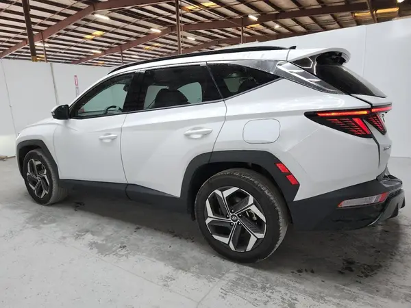 5NMJECDE5RH298054 2024 HYUNDAI TUCSON - Image 2