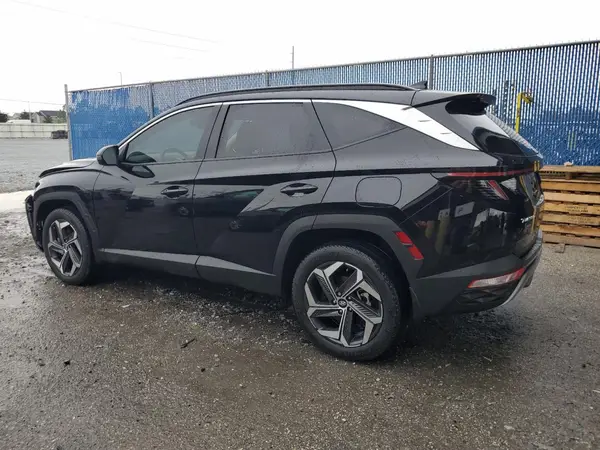 5NMJECDE6RH302256 2024 HYUNDAI TUCSON - Image 2