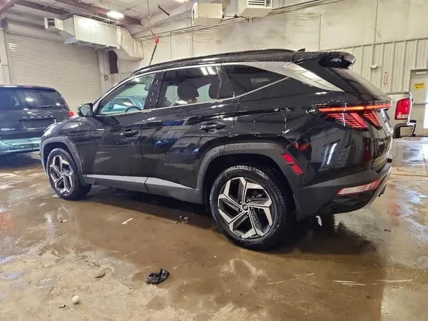 5NMJECDE8RH319141 2024 HYUNDAI TUCSON - Image 2