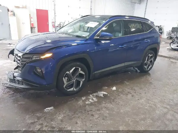 5NMJECDE8RH361924 2024 HYUNDAI TUCSON - Image 2