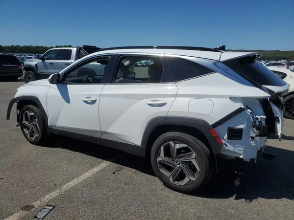 5NMJECDE8RH409762 2024 HYUNDAI TUCSON - Image 2