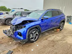 5NMJECDE9RH301022 2024 HYUNDAI TUCSON