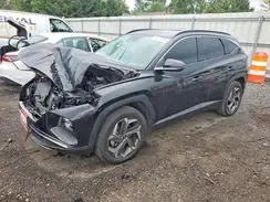 5NMJECDE9RH331332 2024 HYUNDAI TUCSON