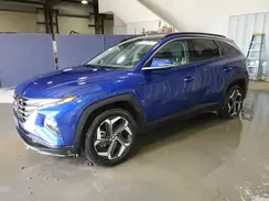 5NMJECDEXRH358426 2024 HYUNDAI TUCSON