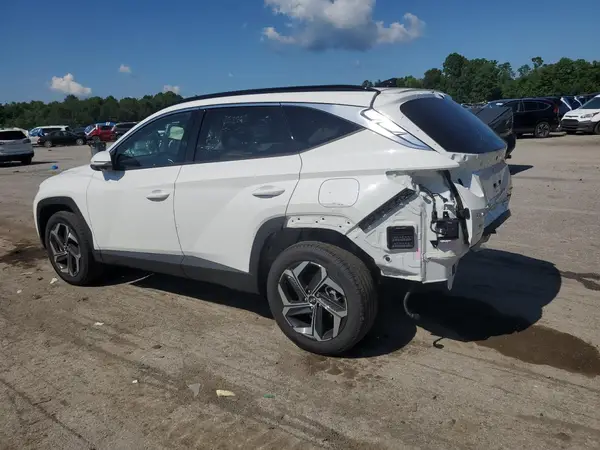 5NMJECDEXRH367031 2024 HYUNDAI TUCSON - Image 2