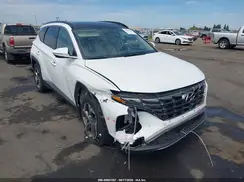 5NMJECDEXRH382998 2024 HYUNDAI TUCSON