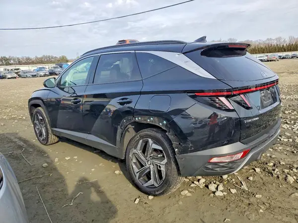 5NMJECDEXRH393516 2024 HYUNDAI TUCSON - Image 2