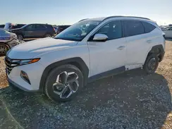 5NMJF3AE0PH222983 2023 HYUNDAI TUCSON
