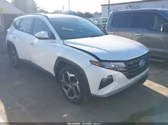 5NMJF3AE1PH256916 2023 HYUNDAI TUCSON
