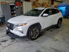5NMJF3AE5PH262475 2023 HYUNDAI TUCSON