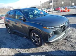 5NMJF3AE8PH163391 2023 HYUNDAI TUCSON