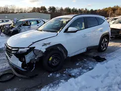 5NMJF3DE0RH349134 2024 HYUNDAI TUCSON