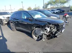 5NMJF3DE0RH409106 2024 HYUNDAI TUCSON