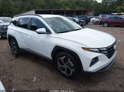 5NMJF3DE1RH330043 2024 HYUNDAI TUCSON