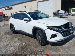 5NMJF3DE1RH344265 2024 HYUNDAI TUCSON