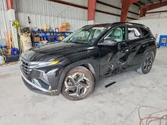 5NMJF3DE3RH313082 2024 HYUNDAI TUCSON