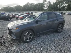5NMJF3DE3RH326981 2024 HYUNDAI TUCSON