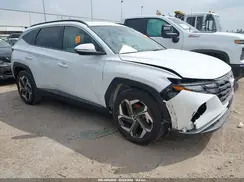 5NMJF3DE3RH404563 2024 HYUNDAI TUCSON
