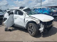 5NMJF3DE6RH384339 2024 HYUNDAI TUCSON