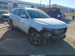 5NMJF3DE6RH391386 2024 HYUNDAI TUCSON
