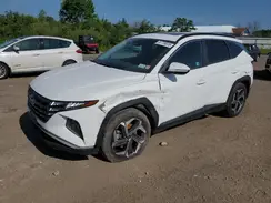 5NMJF3DE7RH353813 2024 HYUNDAI TUCSON