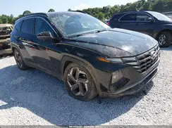 5NMJF3DE8RH394502 2024 HYUNDAI TUCSON