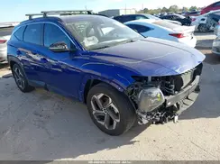 5NMJF3DE9RH339993 2024 HYUNDAI TUCSON