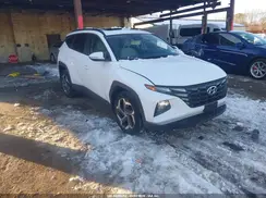 5NMJFCAE5PH213129 2023 HYUNDAI TUCSON