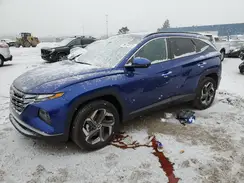 5NMJFCAE5PH262959 2023 HYUNDAI TUCSON