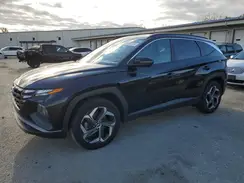 5NMJFCAE6PH162353 2023 HYUNDAI TUCSON