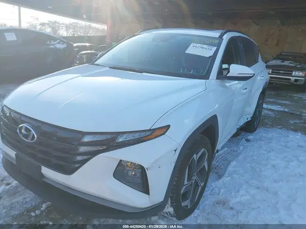 5NMJFCDE0RH361574 2024 HYUNDAI TUCSON - Image 2