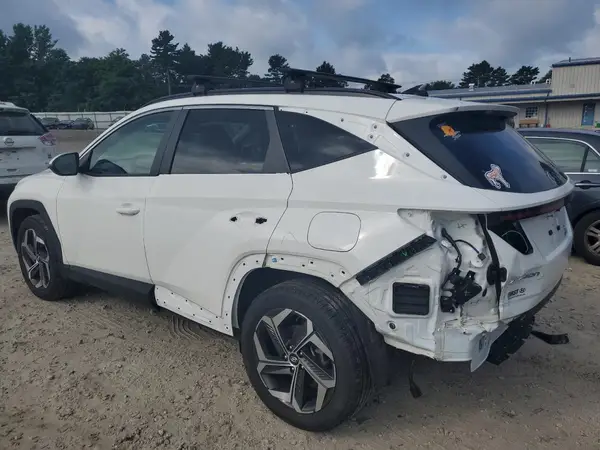 5NMJFCDE1RH334982 2024 HYUNDAI TUCSON - Image 2