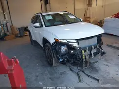 5NMJFCDE1RH419613 2024 HYUNDAI TUCSON