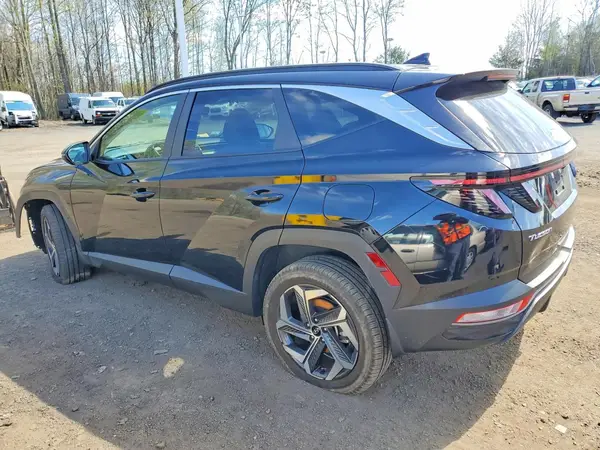 5NMJFCDE4RH395761 2024 HYUNDAI TUCSON - Image 2