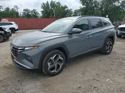 5NMJFCDE5RH313245 2024 HYUNDAI TUCSON