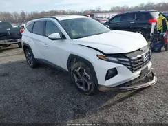 5NMJFCDE5RH398152 2024 HYUNDAI TUCSON